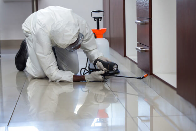 Pest control services in Dubai by GCS Cleaning technician spraying treatment in apartment